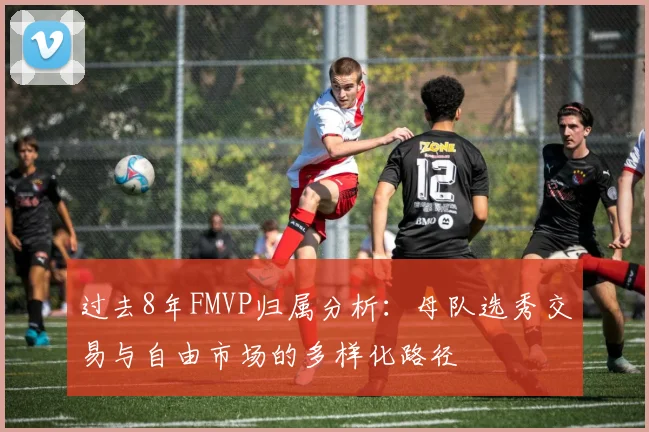 过去8年FMVP归属分析：母队选秀交易与自由市场的多样化路径
